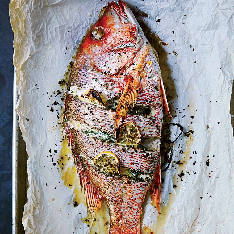 Dag (Fish)